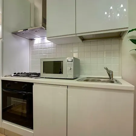 Windows On Apartament